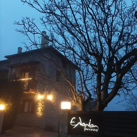 Guesthouse Elaia Synikia Mesi Trikalon Dış mekan fotoğraf