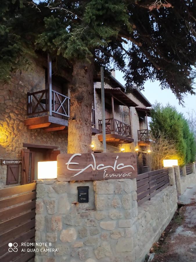 Guesthouse Elaia Synikia Mesi Trikalon Dış mekan fotoğraf