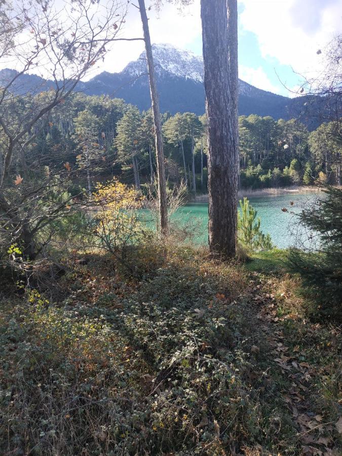Guesthouse Elaia Synikia Mesi Trikalon Dış mekan fotoğraf