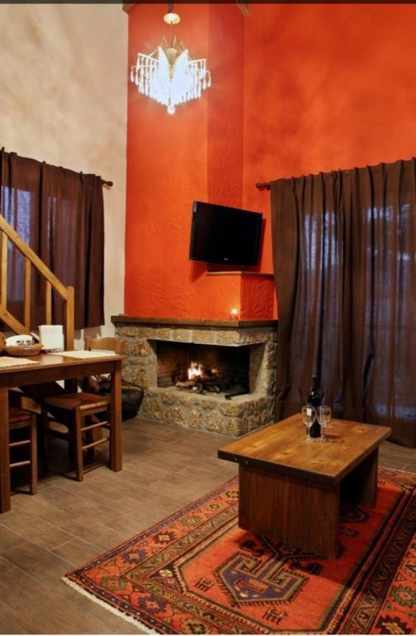 Guesthouse Elaia Synikia Mesi Trikalon Dış mekan fotoğraf