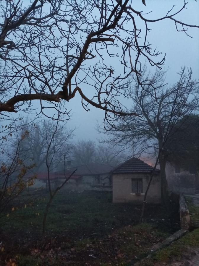 Guesthouse Elaia Synikia Mesi Trikalon Dış mekan fotoğraf