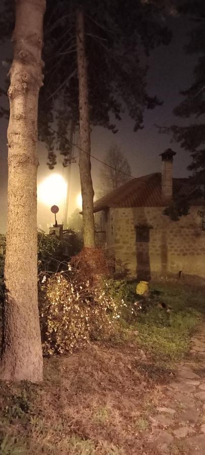 Guesthouse Elaia Synikia Mesi Trikalon Dış mekan fotoğraf