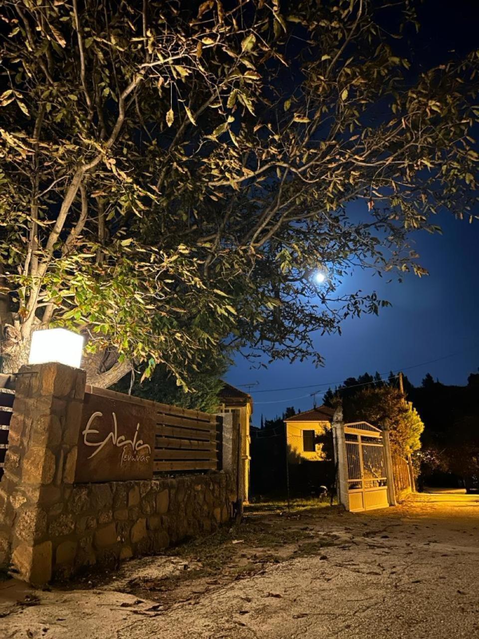 Guesthouse Elaia Synikia Mesi Trikalon Dış mekan fotoğraf