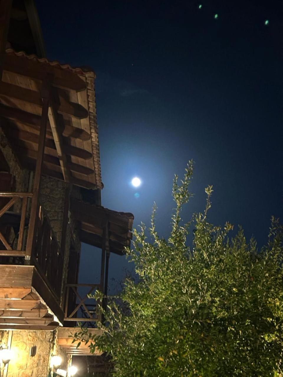 Guesthouse Elaia Synikia Mesi Trikalon Dış mekan fotoğraf