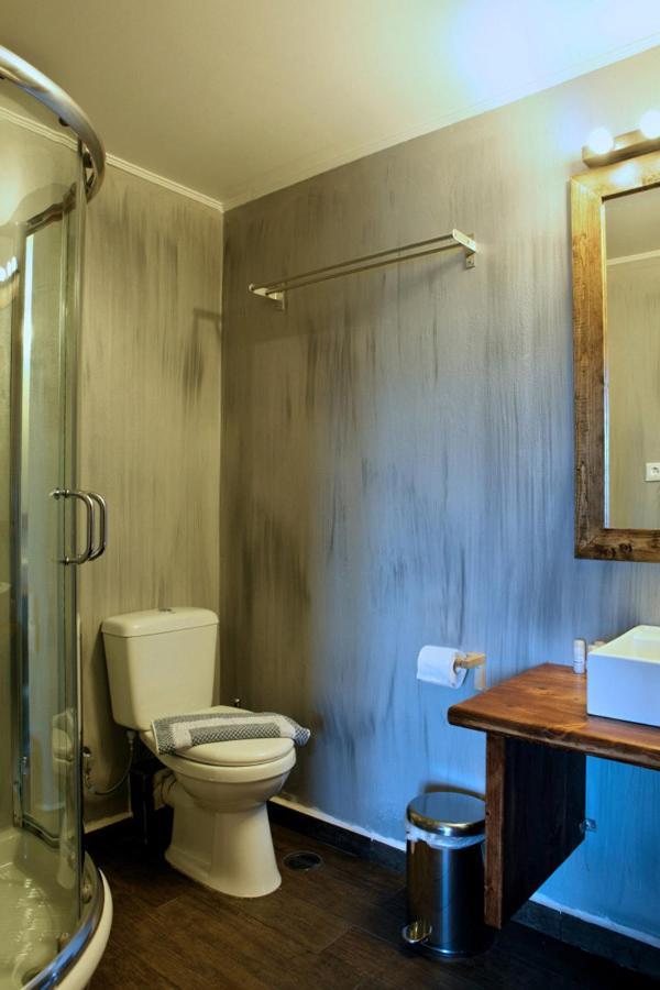 Guesthouse Elaia Synikia Mesi Trikalon Dış mekan fotoğraf
