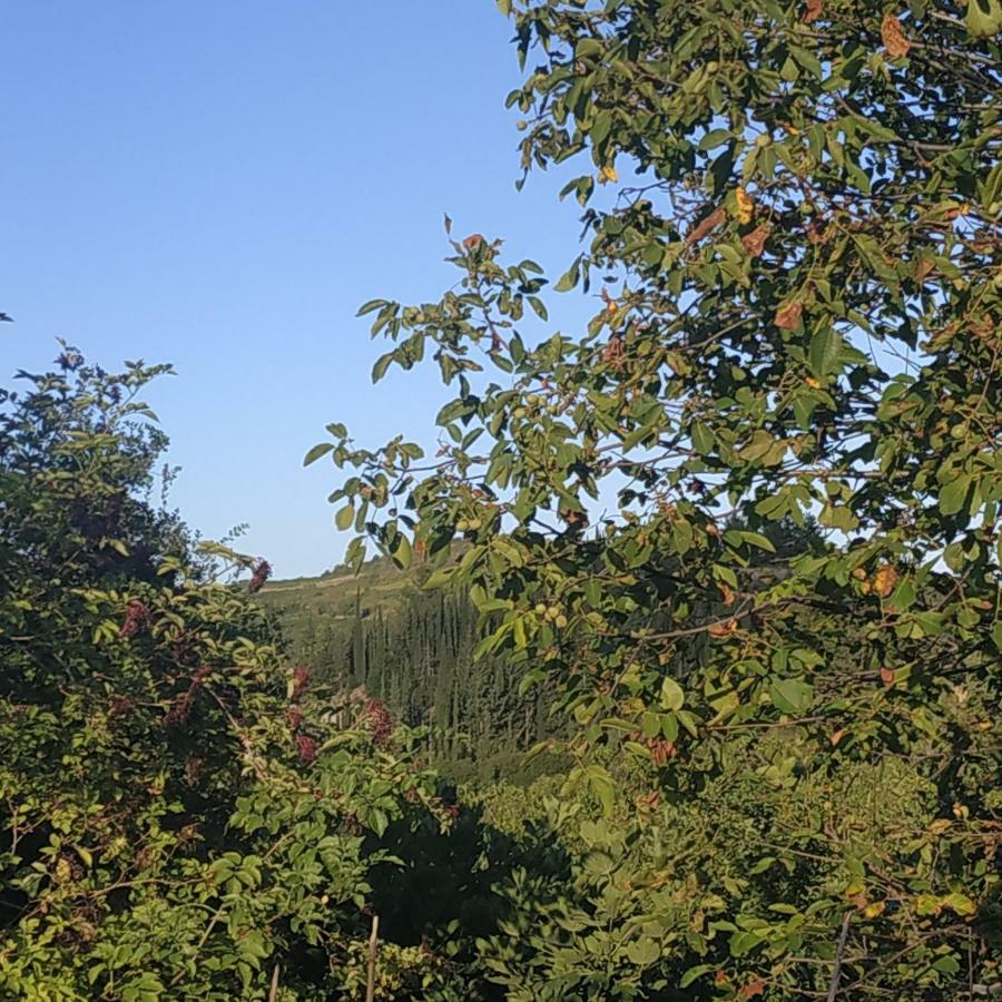 Guesthouse Elaia Synikia Mesi Trikalon Dış mekan fotoğraf